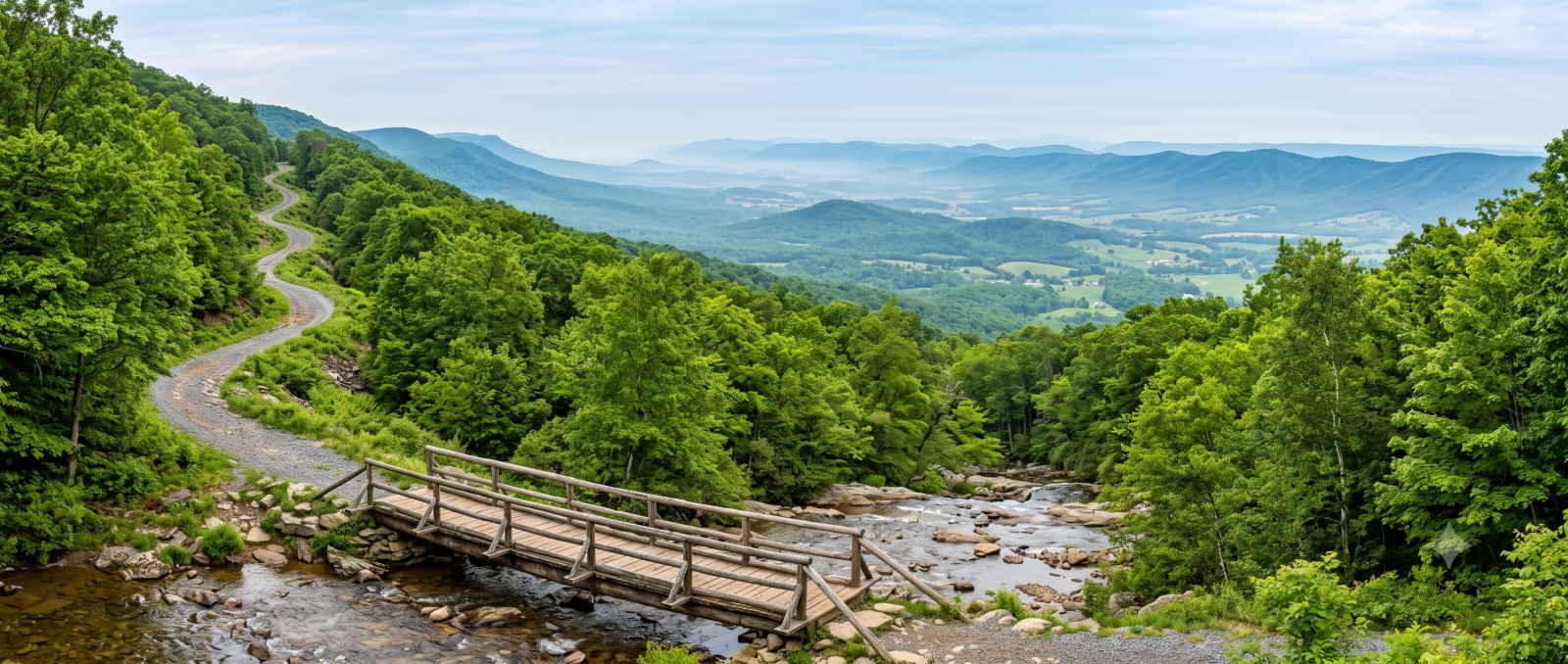 A remote ridgeline trail through the George Washington National Forest near Reddish Knob, Virginia, the Grindstone 100 course